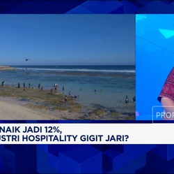 Video:Tiket Pesawat Mahal, Travel Minta Maskapai Buka Lagi Tiket Promo