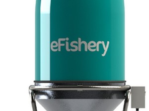 Eks VP eFishery Sebut Bukan Bagian dari Direksi