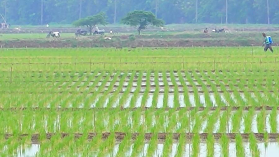 Irigasi Desa Gempol. (CNBC Indonesia TV)