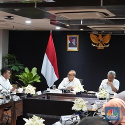 Muncul Flu Babi Afrika di Papua-Bali, Ini Tindakan Zulhas