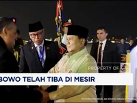 Video:Tiba di Kairo, Prabowo Siap Temui Presiden Mesir & Hadiri KTT D8