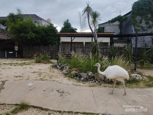 Tangsel Punya Taman Burung Baru Nih, Bisa Dijangkau dengan KRL