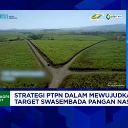 Video: Genjot Produksi Gula Lokal, PTPN Minta Impor Gula Ditahan!