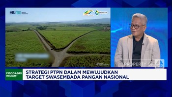 Video: Genjot Produksi Gula Lokal, PTPN Minta Impor Gula Ditahan!