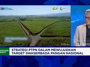 Video: Genjot Produksi Gula Lokal, PTPN Minta Impor Gula Ditahan!
