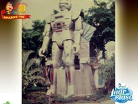 Asal Usul Istilah 