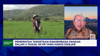 Video: Setop Ubah Sawah Jadi Perumahan! PR Prabowo Capai Swasembada