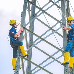 Investor Jepang Mau Borong 25% Saham Hero Global Investment (HGII)