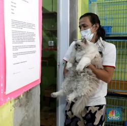 15 Peluang Bisnis Akhir Tahun, Berawal dari Hobi Bisa Panen Cuan