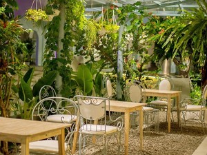 10 Kafe di Bantul yang Asri, Cocok Buat Ngopi dan Bersantai