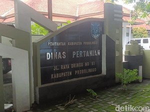 Kantor Dinas Pertanian Probolinggo Digeledah Terkait Kasus Vaksinasi PMK