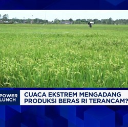 Video: Pak Mentan, Ini Syarat RI Bisa Produksi 32 Juta Ton Beras 2025
