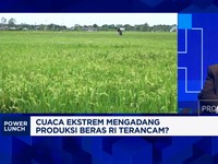 Video: Pak Mentan, Ini Syarat RI Bisa Produksi 32 Juta Ton Beras 2025