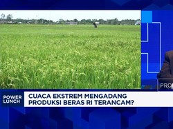 Video: Pak Mentan, Ini Syarat RI Bisa Produksi 32 Juta Ton Beras 2025
