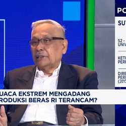 Video: Diadang Cuaca Ekstrem, Penggiling Padi Bisa Antisipasi?