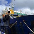 KKP Sulap Kapal Maling Ikan Berbendera Rusia Jadi Paus 02, Untuk Apa?