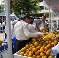 Lewat Pemberdayaan BRI, Kelompok Petani Jeruk Ini Sukses Jangkau Pasar