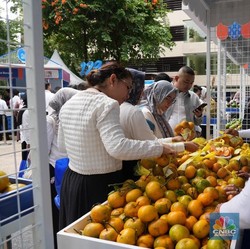 Lewat Pemberdayaan BRI, Kelompok Petani Jeruk Ini Sukses Jangkau Pasar
