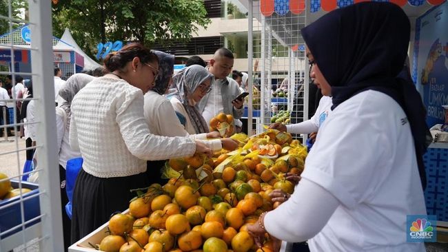 Lewat Pemberdayaan BRI, Kelompok Petani Jeruk Ini Sukses Jangkau Pasar