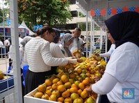 Lewat Pemberdayaan BRI, Kelompok Petani Jeruk Ini Sukses Jangkau Pasar