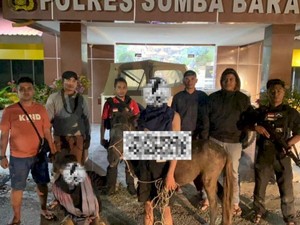 Polisi Bekuk Dua Pria Pencuri Kuda di Sumba Barat
