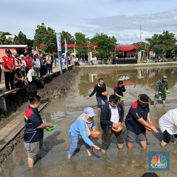 PGN Berkomitmen Dukung Ketahanan Pangan dan Energi, Ini Buktinya!