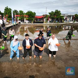 Dukung Ketahanan Pangan, PGN-BRIN Budidaya Padi Biosalin di Semarang