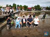 Dukung Ketahanan Pangan, PGN-BRIN Budidaya Padi Biosalin di Semarang