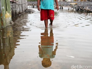 RT di Pluit Jakut Tergenang Banjir Rob Siang Ini, Ketinggian 10 Cm