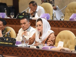 Novita Wijayanti Heran PDIP Usulkan PPN 12% tapi Lempar Kesalahan ke Prabowo