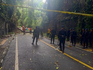 Mewanti-wanti Para Turis agar Hati-hati Plesiran ke Ubud Saat Cuaca Buruk