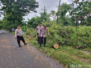 Petani di Ponorogo Meninggal Tertimpa Pohon Usai Tanam Padi