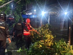Brimob Evakuasi Pohon Tumbang Akibat Hujan di Gn. Samarinda Balikpapan