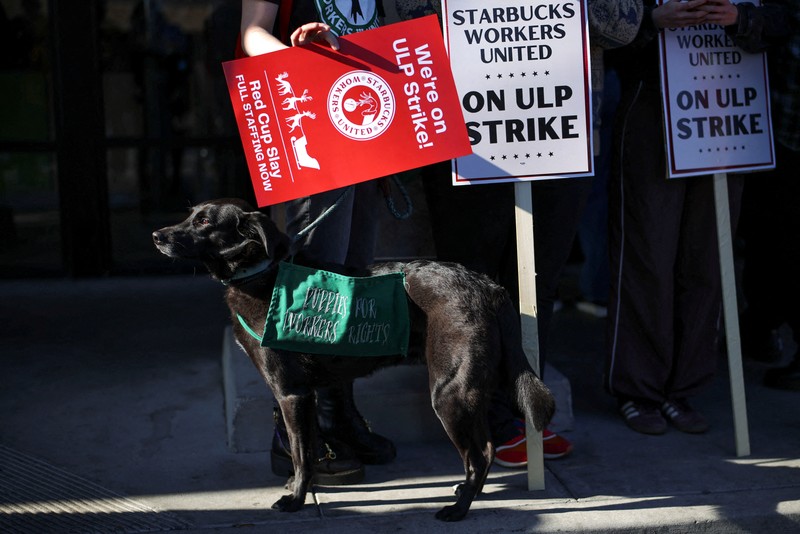 STARBUCKS-LABOR/ Baristas hold signs as they picket in front of a Starbucks in Burbank, California, U.S., December 20, 2024. REUTERS/Daniel Cole