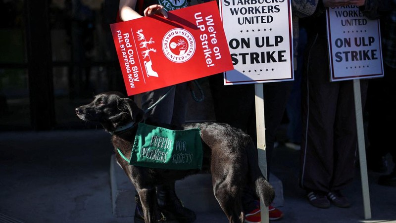 Baristas hold signs as they picket in front of a Starbucks in Burbank, California, U.S., December 20, 2024. REUTERS/Daniel Cole