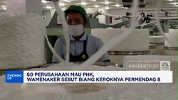 Video : Ada Potensi PHK Lagi, Wamenaker Singggung Permendag 8