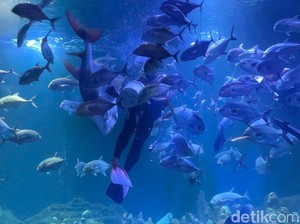 4 Rekomendasi Destinasi Wisata Edukasi di Pangandaran