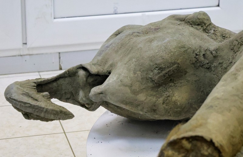 Para peneliti berdiri di balik pagar kaca saat mereka menunjukkan bangkai bayi mammoth, yang diperkirakan berusia lebih dari 50.000 tahun dan ditemukan di lapisan es Siberia di kawah Batagaika di distrik Verkhoyansky, Yakutia, selama demonstrasi di laboratorium Museum Mammoth di Universitas Federal Timur Laut di Yakutsk, Rusia, 23 Desember 2024. (REUTERS/Roman Kutukov)