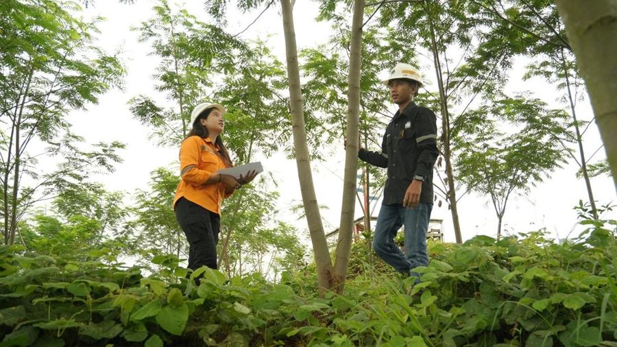 Dok Bumi Resources