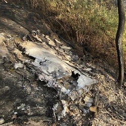 Pesawat Cessna Jatuh di Hutan Belantara, 7 Orang Tewas-Evakuasi Sulit