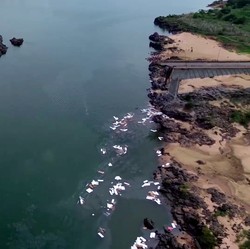 Potret Jembatan Runtuh Tumpahkan Asam Sulfat ke Sungai, 1 Orang Tewas