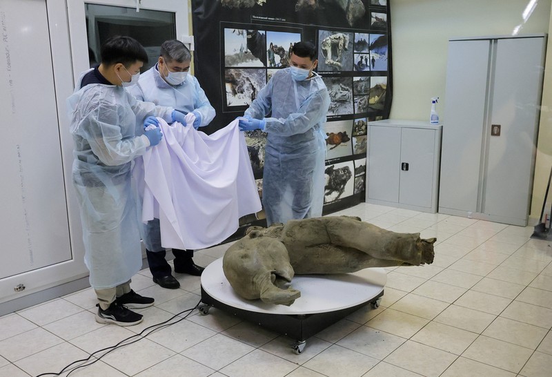 Para peneliti berdiri di balik pagar kaca saat mereka menunjukkan bangkai bayi mammoth, yang diperkirakan berusia lebih dari 50.000 tahun dan ditemukan di lapisan es Siberia di kawah Batagaika di distrik Verkhoyansky, Yakutia, selama demonstrasi di laboratorium Museum Mammoth di Universitas Federal Timur Laut di Yakutsk, Rusia, 23 Desember 2024. (REUTERS/Roman Kutukov)