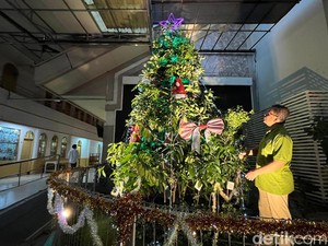 Gereja di Surabaya Susun Aneka Tanaman Jadi Pohon Natal Ekologi