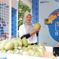 BRI Tingkatkan Produktivitas dan Kesejahteraan di Desa Bansari