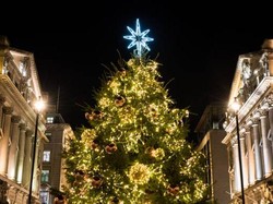 Ini Alasan Hari Natal Identik dengan Pohon Cemara Ini Alasan Hari Natal Identik dengan Pohon Cemara