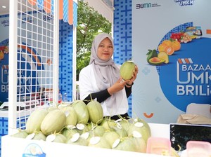Manis dan Segarnya Melon Premium dari Temanggung, Omzet Menggiurkan