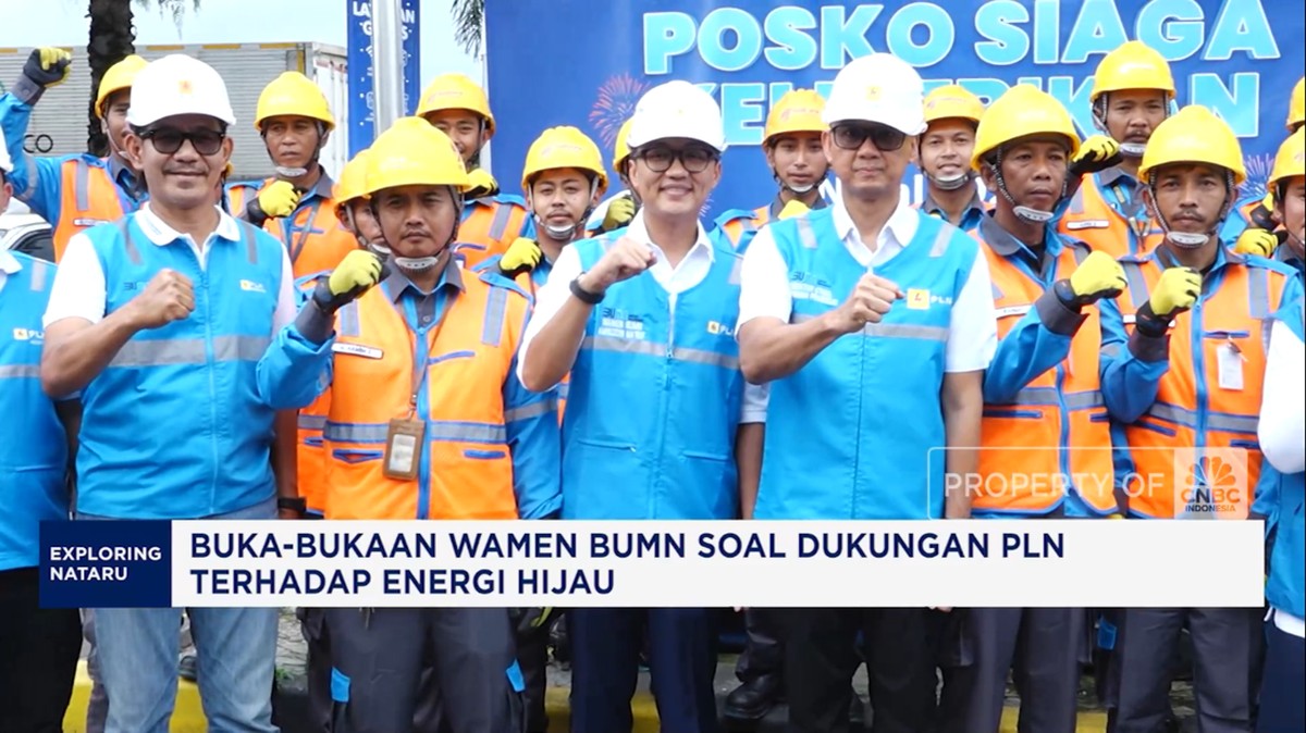 Energi Hijau Terang Benderang: Wamen BUMN Buka Rahasia Dukungan PLN