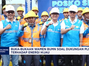 Video: Buka-bukaan Wamen BUMN Soal Dukungan PLN Terhadap Energi Hijau