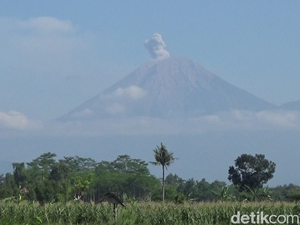 Resmi Dibuka, Ini Syarat dan Ketentuan Pendakian Semeru 2026