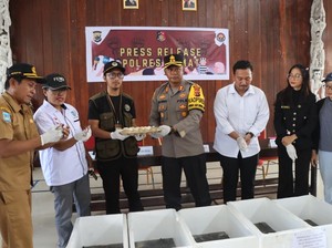 Polisi Ungkap Perdagangan Ilegal 3.194 Ekor Labi-Labi Moncong Babi di Asmat